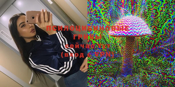 гидра Каменногорск