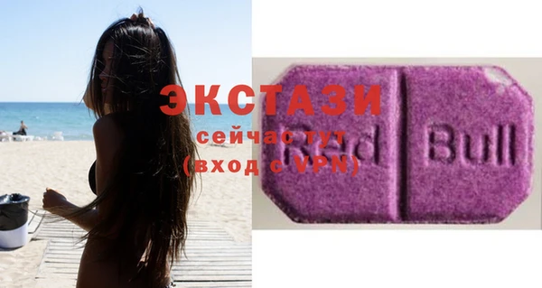 мдпв Каменка