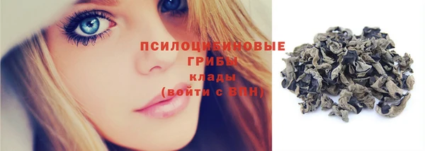 гидра Каменногорск