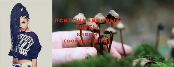 гидра Каменногорск
