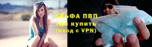 гидра Каменногорск