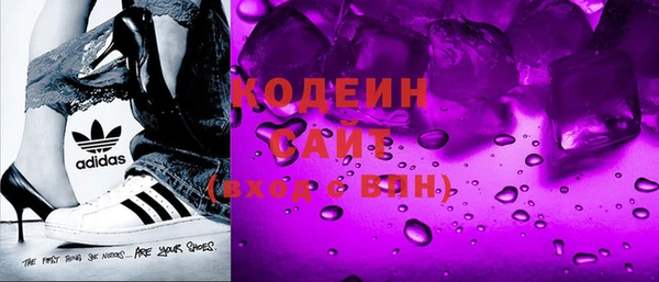 мдпв Каменка