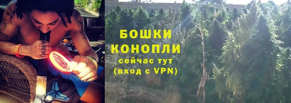 гидра Каменногорск