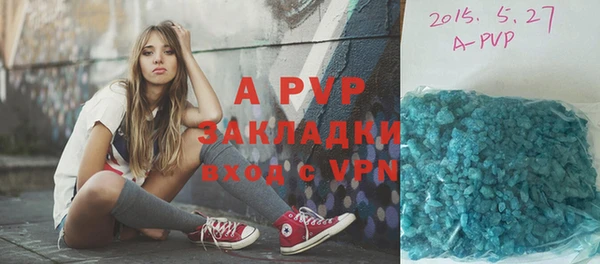 мдпв Каменка