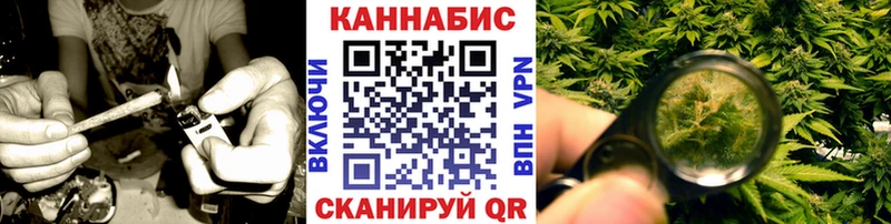 Купить  Бологое  Канабис Ganja 